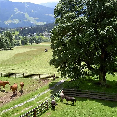 Apartamento Haus Berghild Ramsau am Dachstein