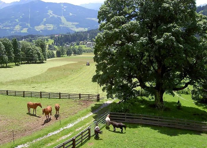 Daire Haus Berghild Ramsau am Dachstein